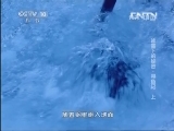 地理中国 《地理中国》 20130516 冰雪下的秘密·寻鱼记 （上）