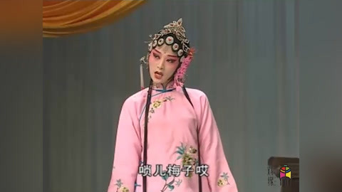 戏缘 戏缘戏曲：黄梅戏《乔太守巧点鸳鸯谱》主演 黄新德 何云 梅院军