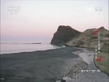 动物世界 《动物世界》 20170728 龙宫幻境篇4 虎将出征