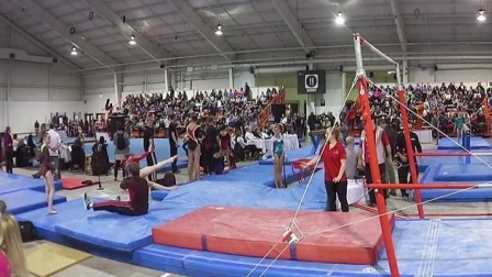 暖心教练拯救选手，不顾个人安危飞身救险！【体育辣报】