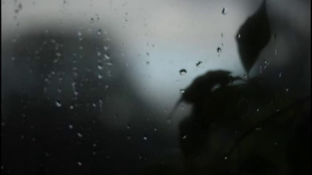 香港原创音乐频道 2015 《Suffice》Pasha 321