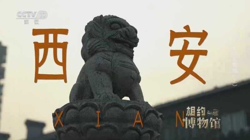 《相约博物馆》 第1集 西安博物院（上）