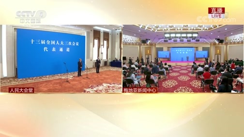 《十三届全国人大三次会议 全国政协十三届三次会议特别报道》 20200525 代表通道