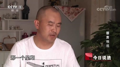 今日说法 《今日说法》 20181226 罪责难逃