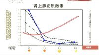 X诊所. 饮食减肥法平衡荷尔蒙