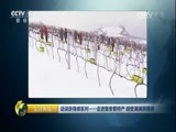 生财有道 《生财有道》 20170307 话说获得感系列——走进集安看特产 感受满满获得感