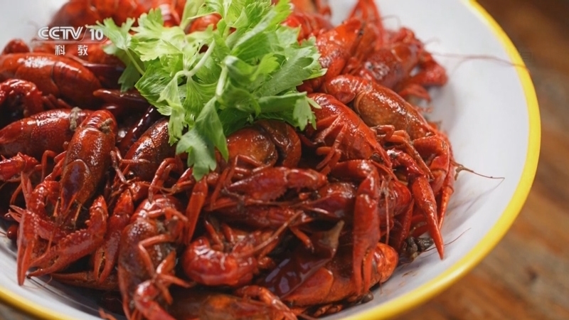 味道 《味道》 20250905 美味井研（下）