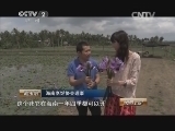 消费主张 《消费主张》 20150410 春韵夏风——传奇蓝莲花 清凉椰子鸡