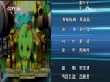 芝麻开门【央视】 《芝麻开门》 20161031 挑战大现场