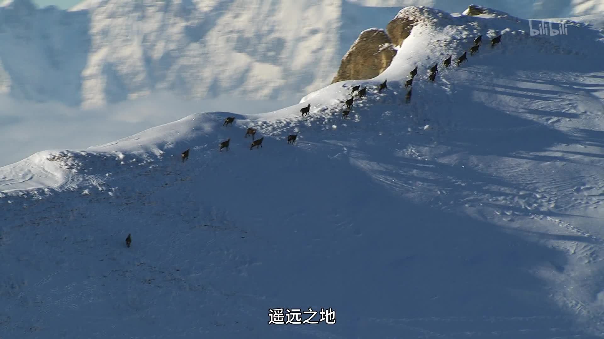 极限生命 干湿同在