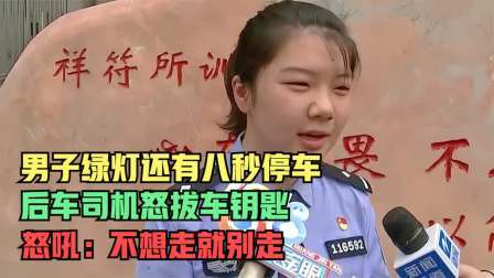 品人生百味第二季 男子绿灯还有八秒停车，后车司机怒拔车钥匙，怒吼：不想走就别走