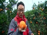 地理中国 《地理中国》 20170131 山河春色·赣南巨屋