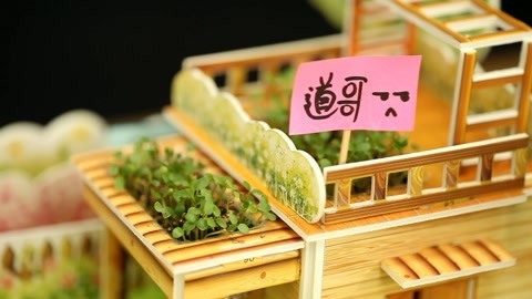 无巧不成叔 有房有地的超美种植庄园