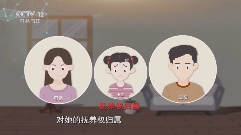 法律讲堂 《法律讲堂(文史版)》 20250728 民法典的家风家教观·抚养权的归属