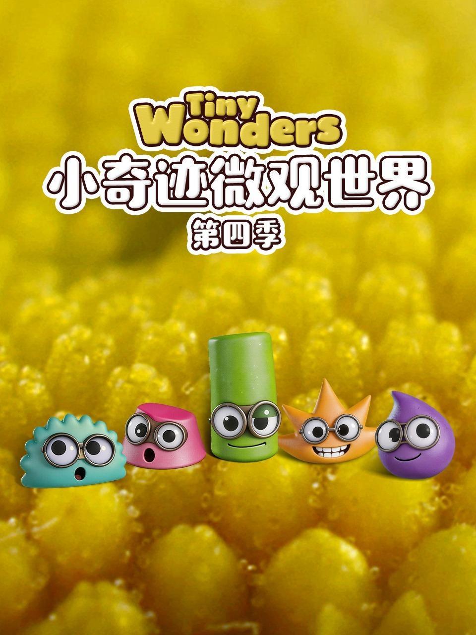 小奇迹微观世界 第四季