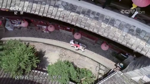 《楹联里的中国》 第六集 根脉相连