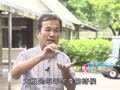 动物大明星 动物大明星 树懒