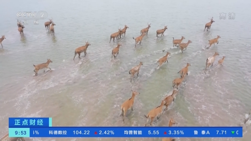 正点财经 《正点财经》 20221103 09:00