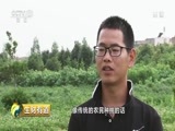 生财有道 《生财有道》 20180704 十里桃园夏收忙