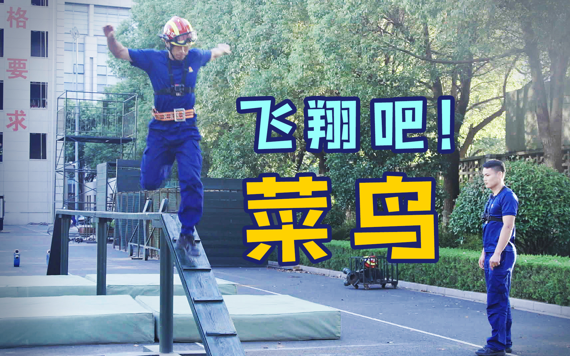 飞翔吧，“菜鸟”