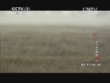 动物世界 《动物世界》 20140223 寻找最美动物家园（五）