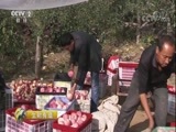 生财有道 《生财有道》 20170926 咱们家乡有特产（秋收系列）——山西吉县：苹果成了富民果