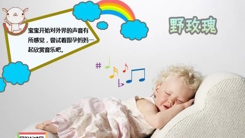 胎教音乐 第13周 野玫瑰