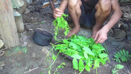 原始丛林人苏门答腊 第二季 原始丛林生活，扯一把树藤，就可以吃一顿新鲜的蔬菜