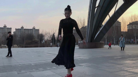 全民曳步广场舞《蝴蝶爱上花》力度不够羞羞的感觉