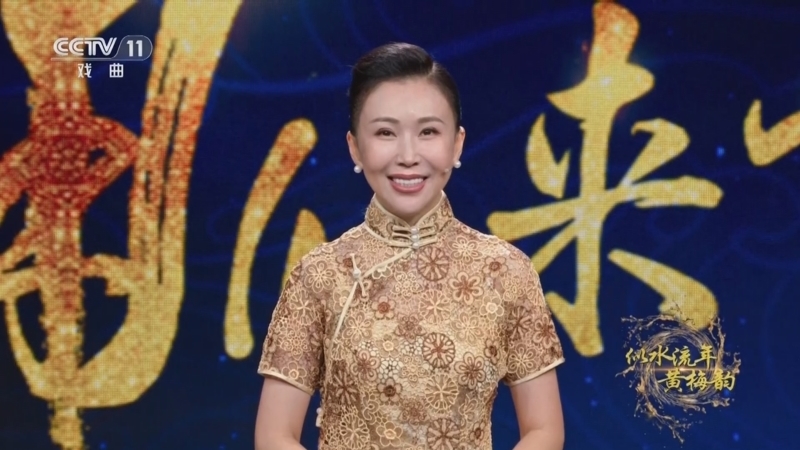 角儿来了 《角儿来了》 20250228 似水流年黄梅韵