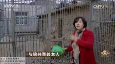 致富经 [致富经]与狼共舞的女人 20161128