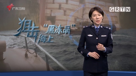 南粤警视 南粤警视：狙击海上“黑冻品”