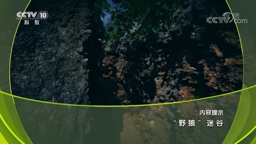 地理中国 《地理中国》 20190912 “野狼”迷谷