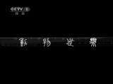 动物世界 动物世界 2011年 第36期