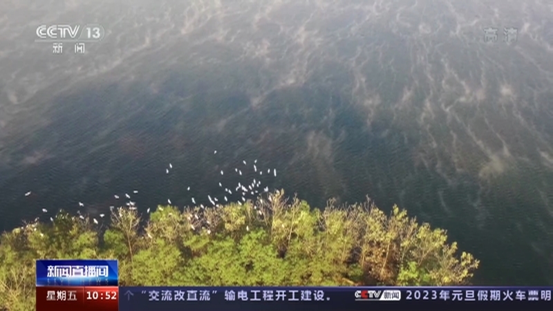 新闻直播间 《新闻直播间》 20221216 10:00
