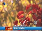 12点报道 《12点报道》 20161028