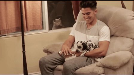 猫男AaronsAnimals 第一季 当主人抱别的狗狗时 猫咪是什么反应 18