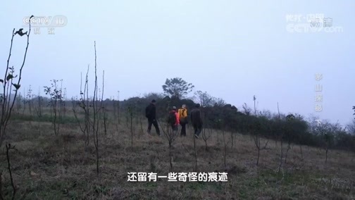 地理中国 《地理中国》 20180910 茅山探秘（下）