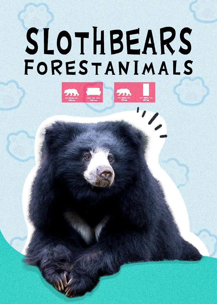 SlothBears ForestAnimals