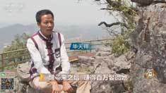 致富经 [致富经]“醒”来之后 赚得百万娶回她 20190107