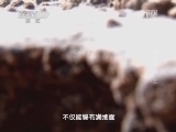 地理中国 《地理中国》 20140611 白山幽洞（上）