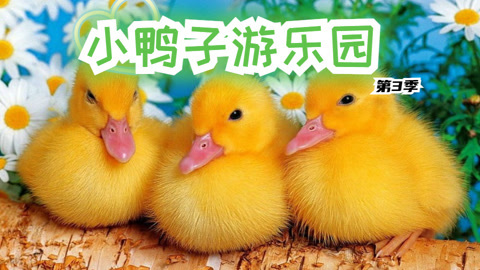 小鸭子游乐园第3季