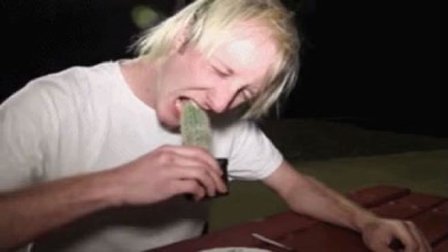 猿创精选 仙人掌是个什么味道 二货用行动隔空告诉你 48