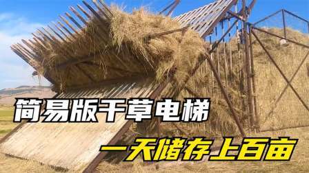 美国发明干草电梯，自动上下运送干草，一天储存干草上百亩