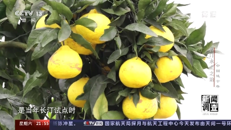 新闻调查 《新闻调查》 20220723 中国这十年 长汀水土之治