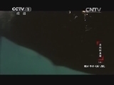 动物世界 《动物世界》 20140306 勇闯鳄鱼湾（上）