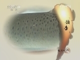 生财有道 《生财有道》 20120530 东山再起 鸭绿江养出细鳞鱼