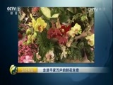 生财有道 《生财有道》 20170209 走进千家万户的鲜花生意