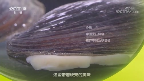 味道 《味道》 20190414 甄选版（4）食材篇 贝类