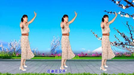 流行DJ广场舞及教学 第三季 动感DJ《情花朵朵开》一首好听的情歌对唱